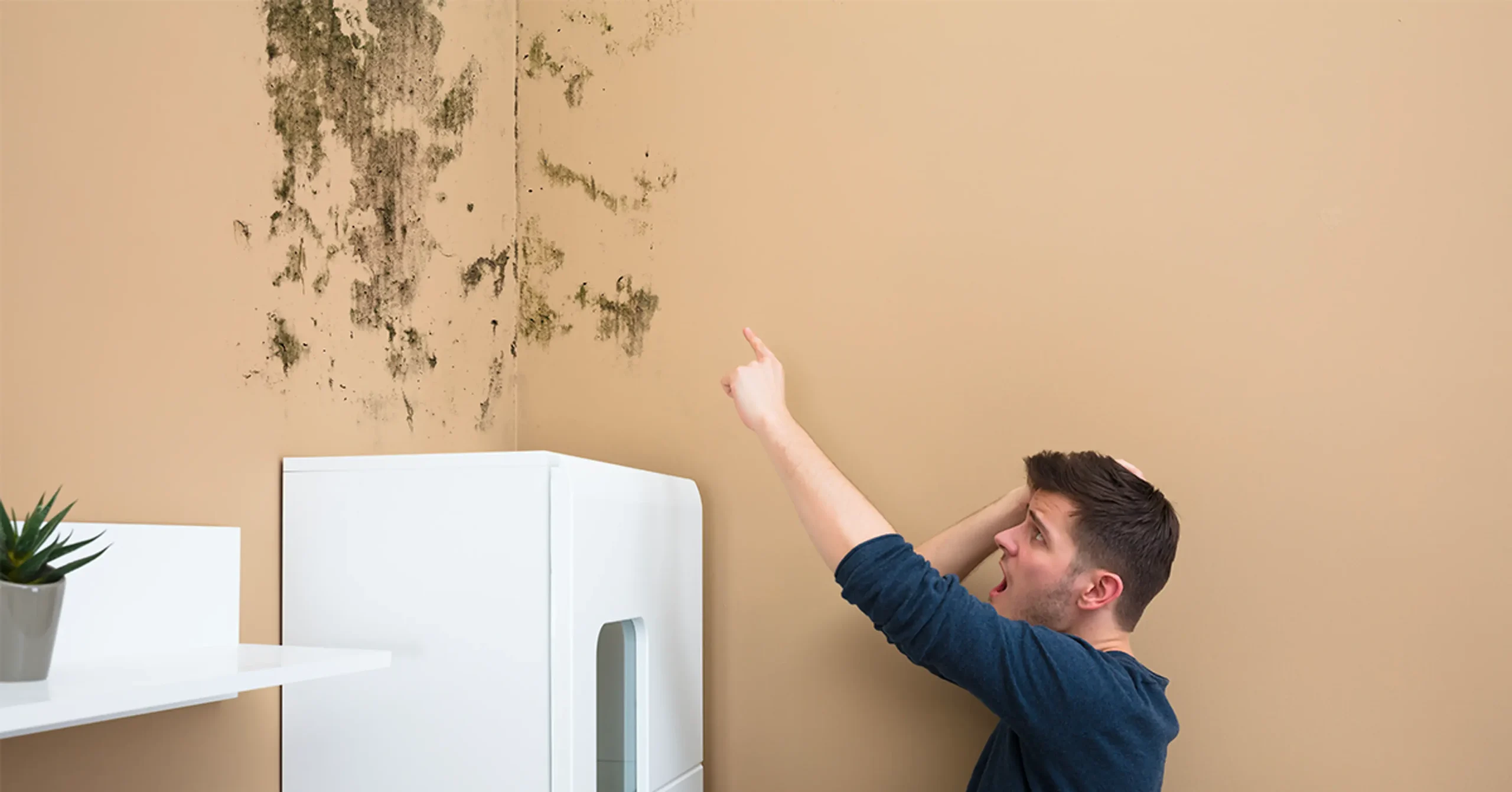xác định vị trí chống thấm